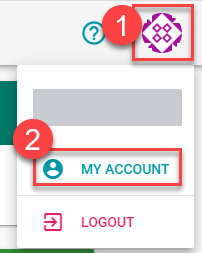 Show account details